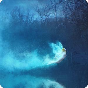 Phlearn Pro – Night Fairy