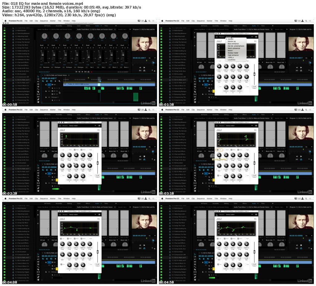 Lynda - Premiere Pro Guru: Working with Audio