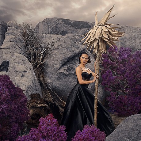 PHLEARN - Photo Editing 101-301 PRO