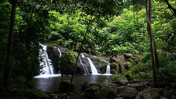 Lynda – Landscape Photography: Tropical Scenes