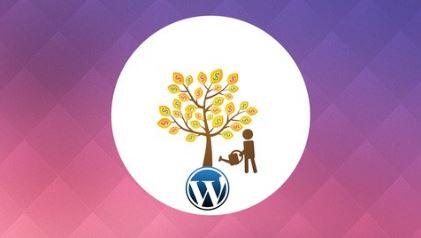 Monetizing a WordPress Blog: Beginner-Friendly Strategies
