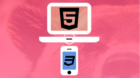 Web Design for Beginners Real World Coding in HTML & CSS