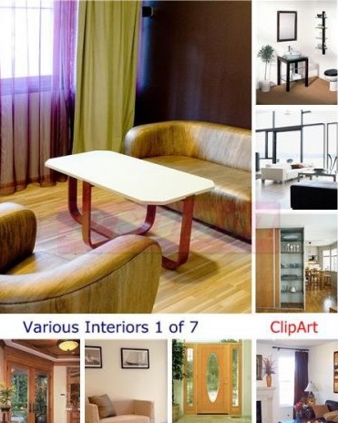 Snakes – All Interiors Collection