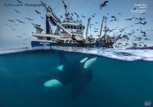 Underwater Photography – November/December 2016-P2P