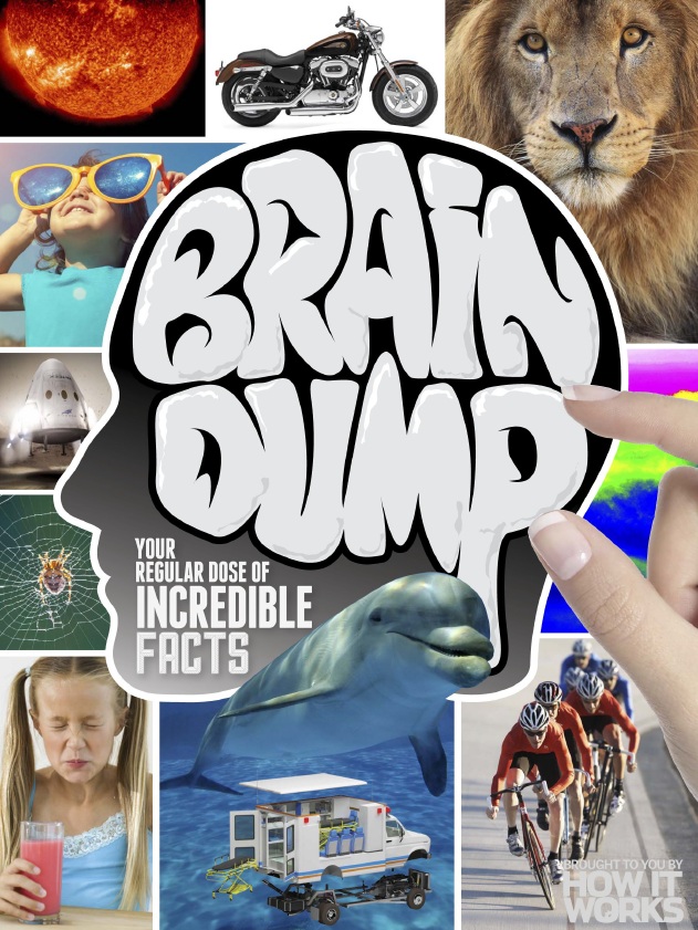 Brain Dump – Issue 035, 2016-P2P