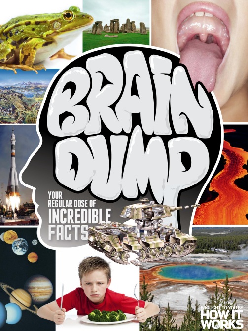 How It Works: Brain Dump – Issue 34, 2016-P2P
