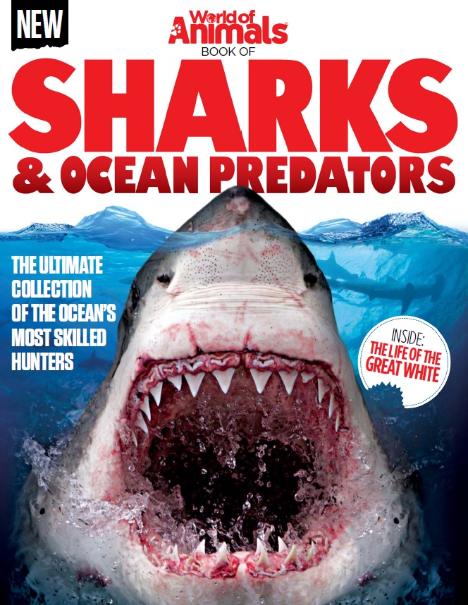 World of Animals &ndash; Book of Sharks & Ocean Predators-P2P