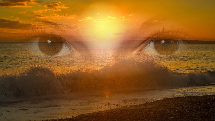 Free your Self: Sharpen and Expand your Mind with Meditation (2015)