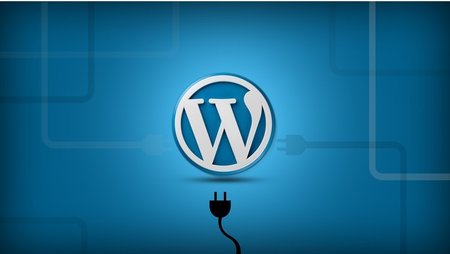 Learn Plugin Development in WordPress By Building Projects