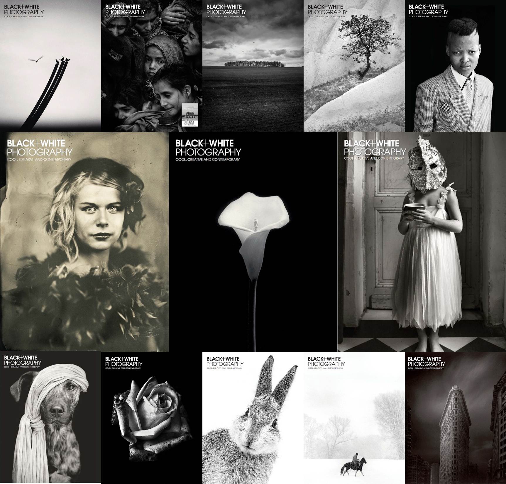 Black & White Photography &ndash; 2015 Full Year Issues Collection-P2P