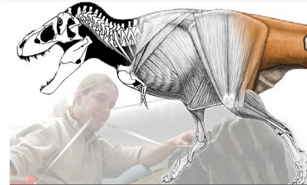 Uartsy – Advanced Creature Anatomy Class