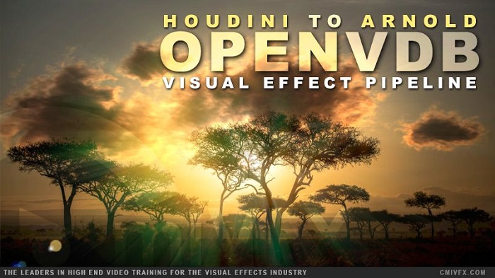 cmiVFX – Houdini Arnold VDB Workflow