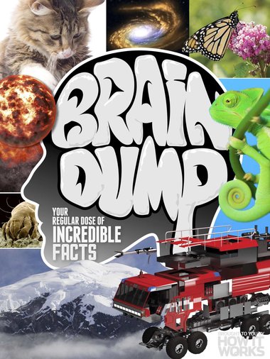 How It Works Brain Dump – Issue 31, 2015-P2P