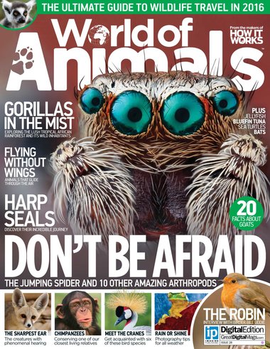 World of Animals – Issue 28-P2P