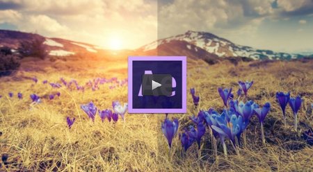 After Effects Genius