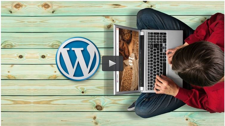 Udemy – The Complete WordPress Course - Build Your Own Website Today