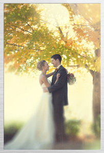 Wedding Photographer