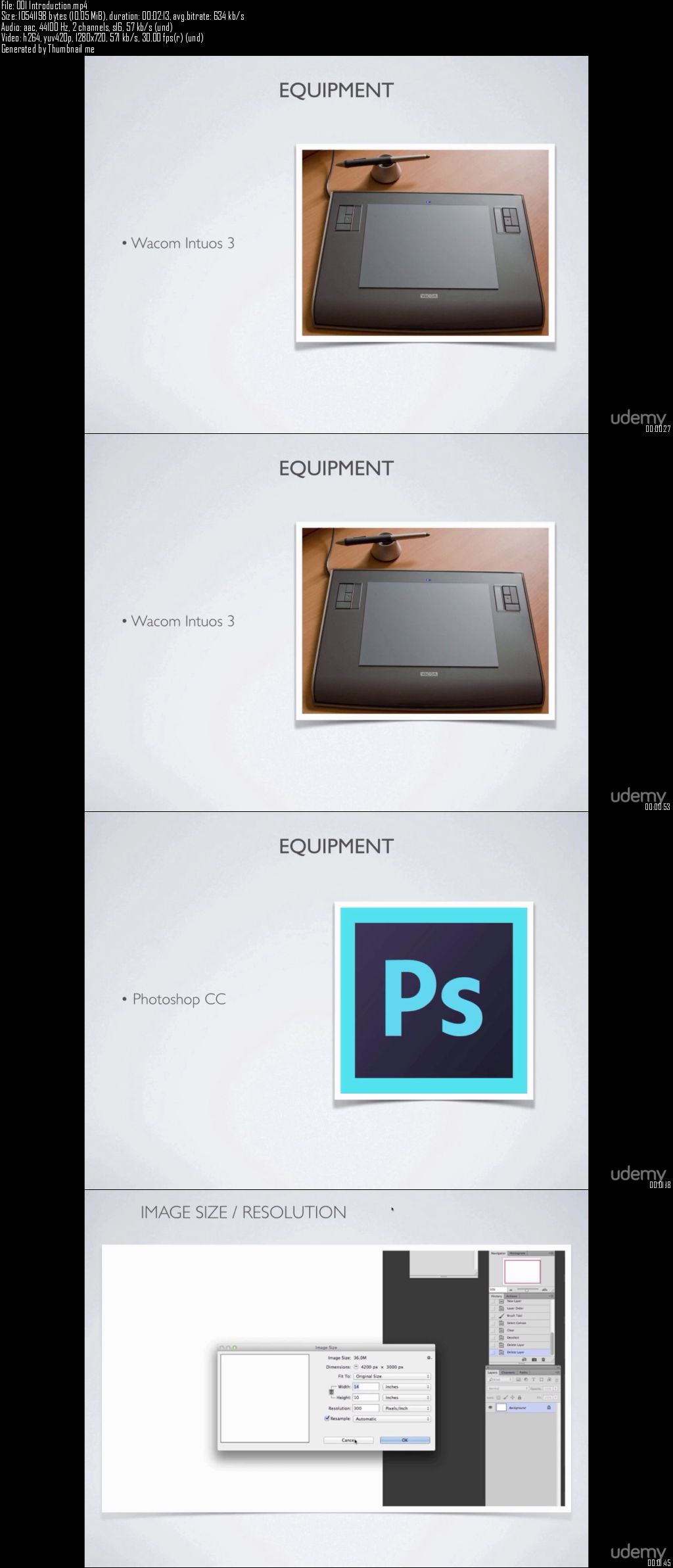 Digital Landscapes : Painting Environments with Photoshop
