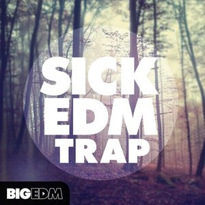 Big EDM – Sick EDM Trap MULTiFORMAT