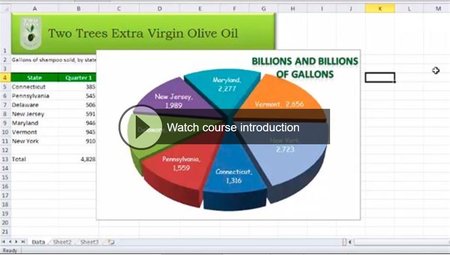 Lynda – Excel 2010 Essential Training