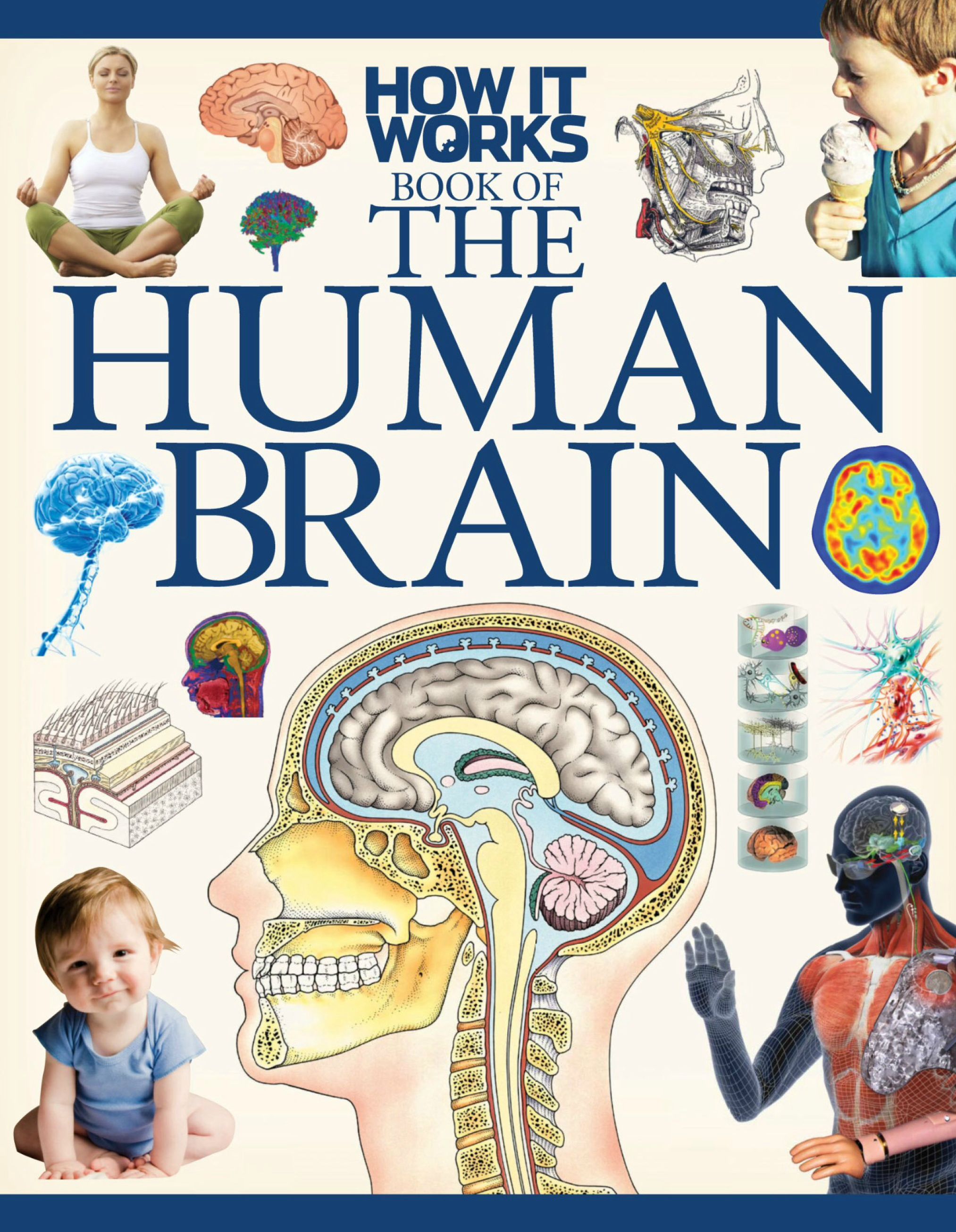 How It Works – The Human Brain, 1st Edition-P2P