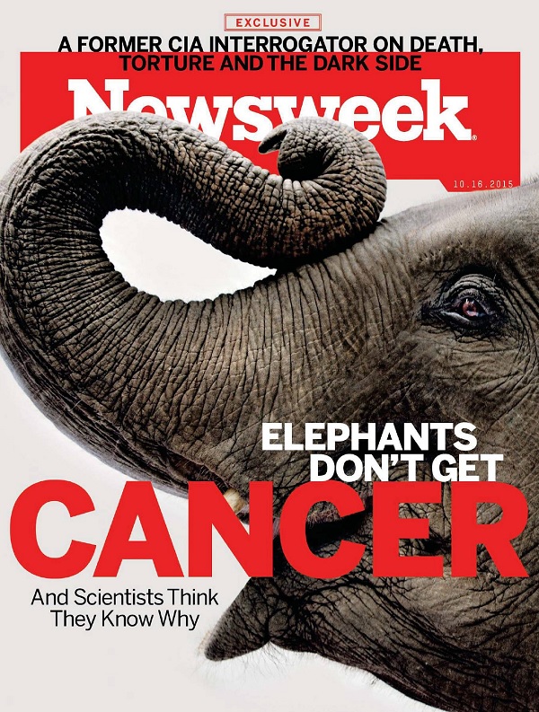Newsweek – 16 October 2015-P2P