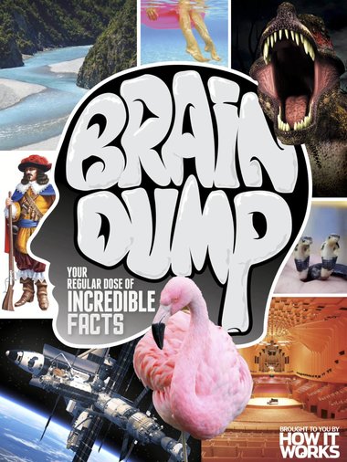 How It Works Brain Dump – Issue 29, 2015-P2P